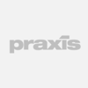 Praxix